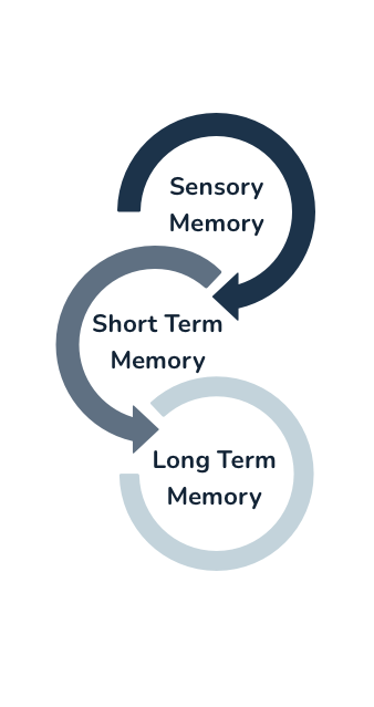 long term memory examples