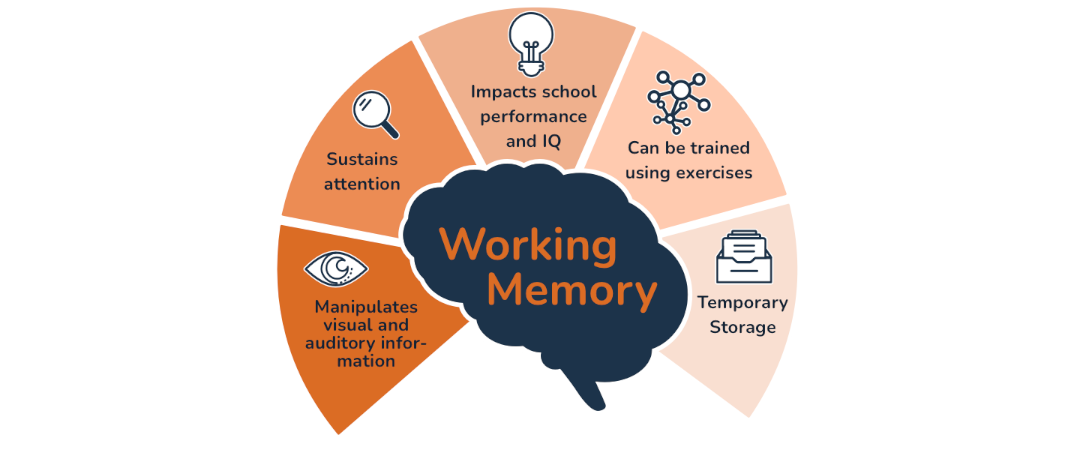 Working Memory In Cognitive Development Learning And Academic 