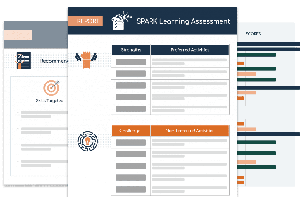 SPARK Learning Assessment Report